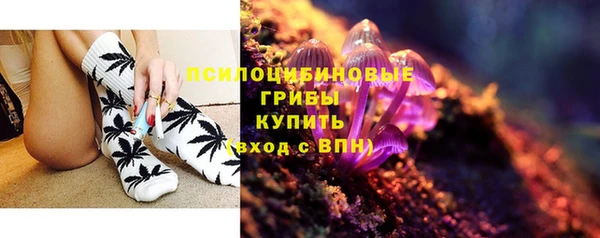 трава Верхнеуральск
