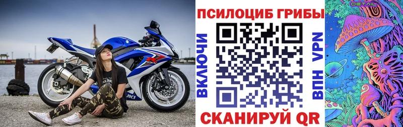 площадка какой сайт  mega ссылки  Славянск-на-Кубани  Псилоцибиновые грибы мицелий 
