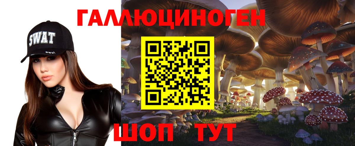 Псилоцибиновые грибы Psilocybine cubensis Славянск-на-Кубани